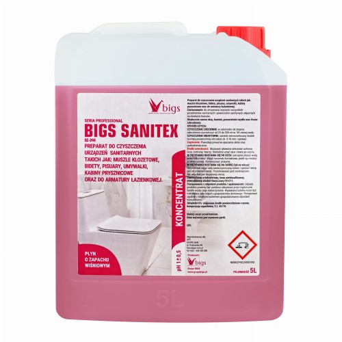 BIGS SANITEX.jpg